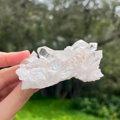Clear Quartz Small Cluster Crystal - Wisdom, Intention