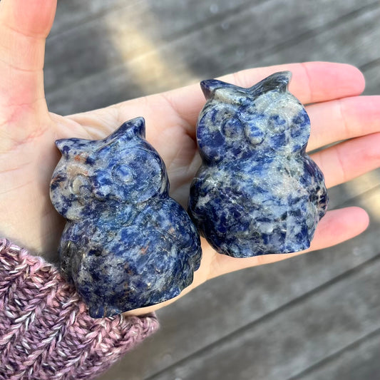 Sodalite Owl Crystal - Wisdom, Truth, Peace
