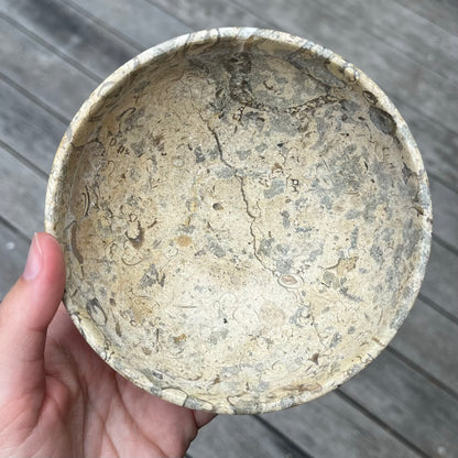 Fossil Stone Large Crystal Bowl - Protection, Grounding