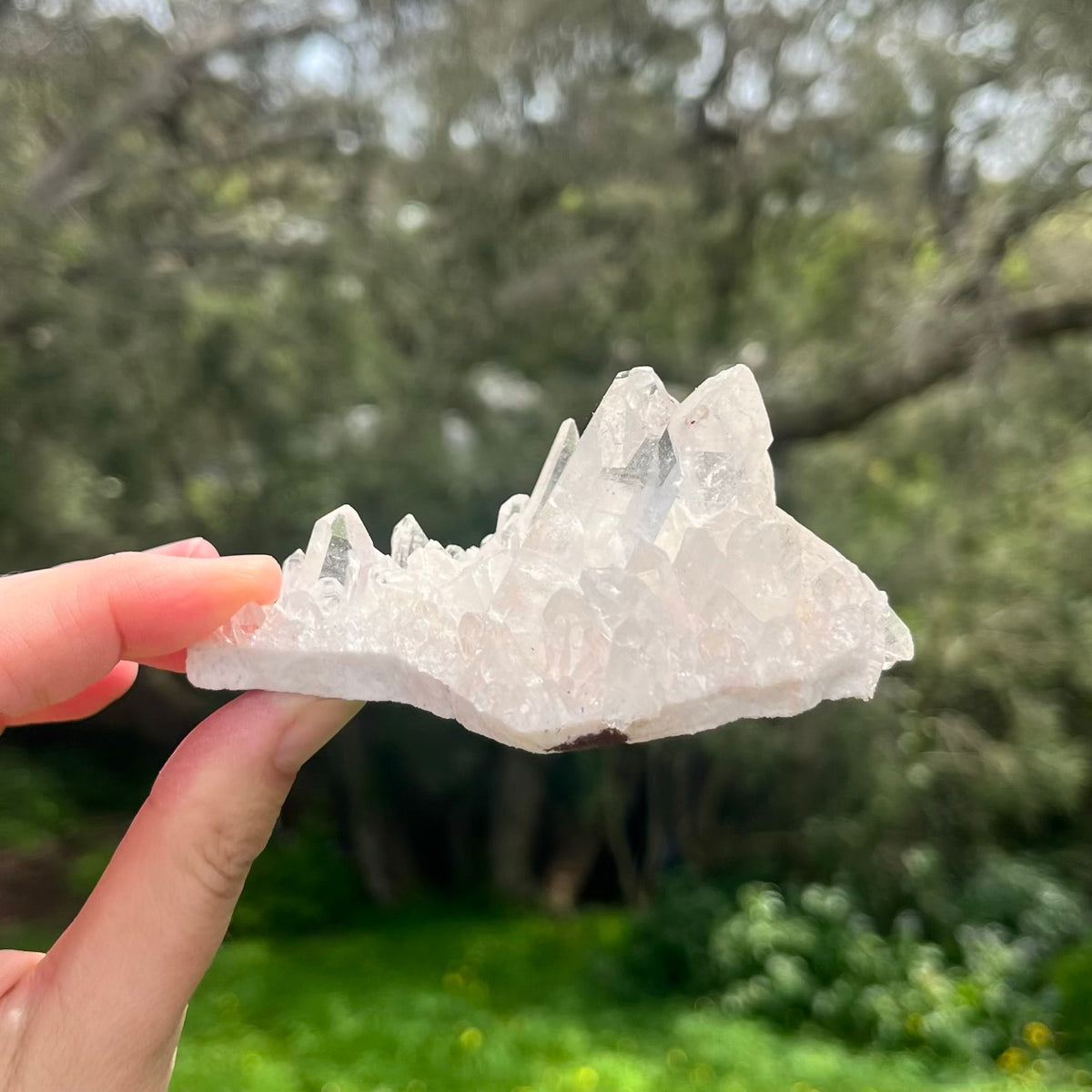 Clear Quartz Small Cluster Crystal - Wisdom, Intention
