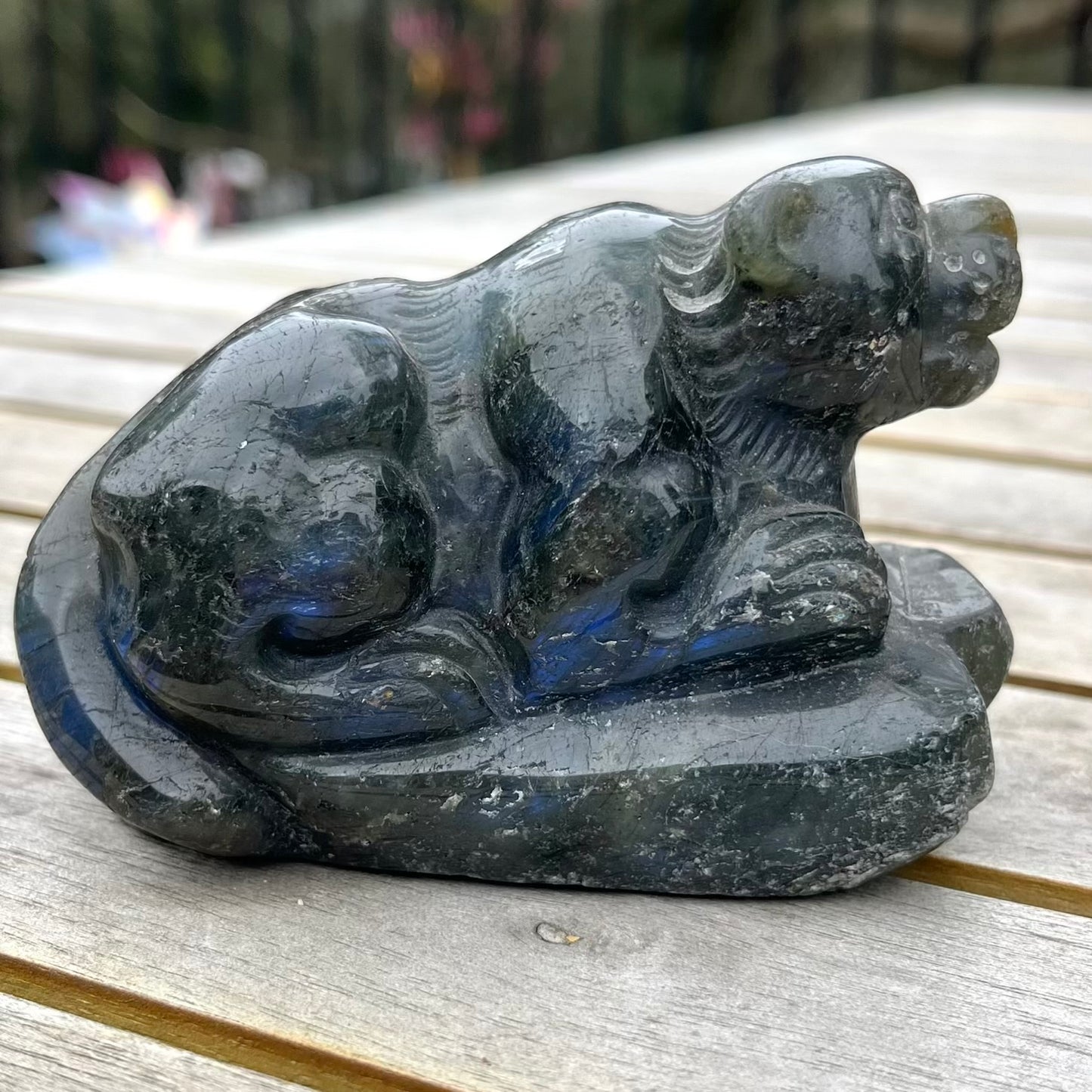 Labradorite Lioness Crystal - Protective, Mystical, Transformative