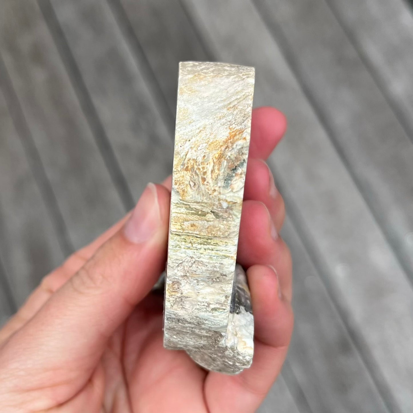 Petrified Wood Small Slab Crystal - Grounding, Stabilising