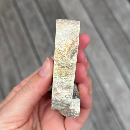 Petrified Wood Small Slab Crystal - Grounding, Stabilising