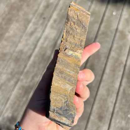 Petrified Wood Large Slab Crystal -  Patience, Wisdom