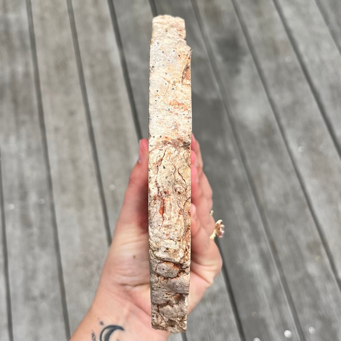 Petrified Wood XXL Slab Crystal - Grounding, Stabilising