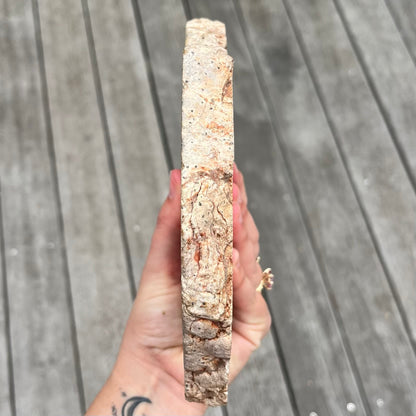 Petrified Wood XXL Slab Crystal - Grounding, Stabilising