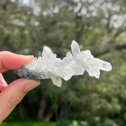 Clear Quartz Small Cluster Crystal - Wisdom, Intention
