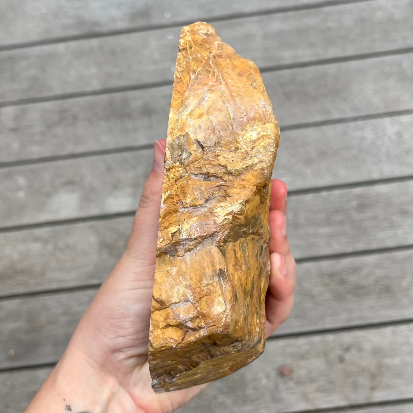 Petrified Wood XL Slab Crystal - Grounding, Stabilising