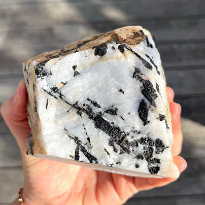 Tourmaline in Quartz XL Raw Crystal - Grounding, Protective, Purifying