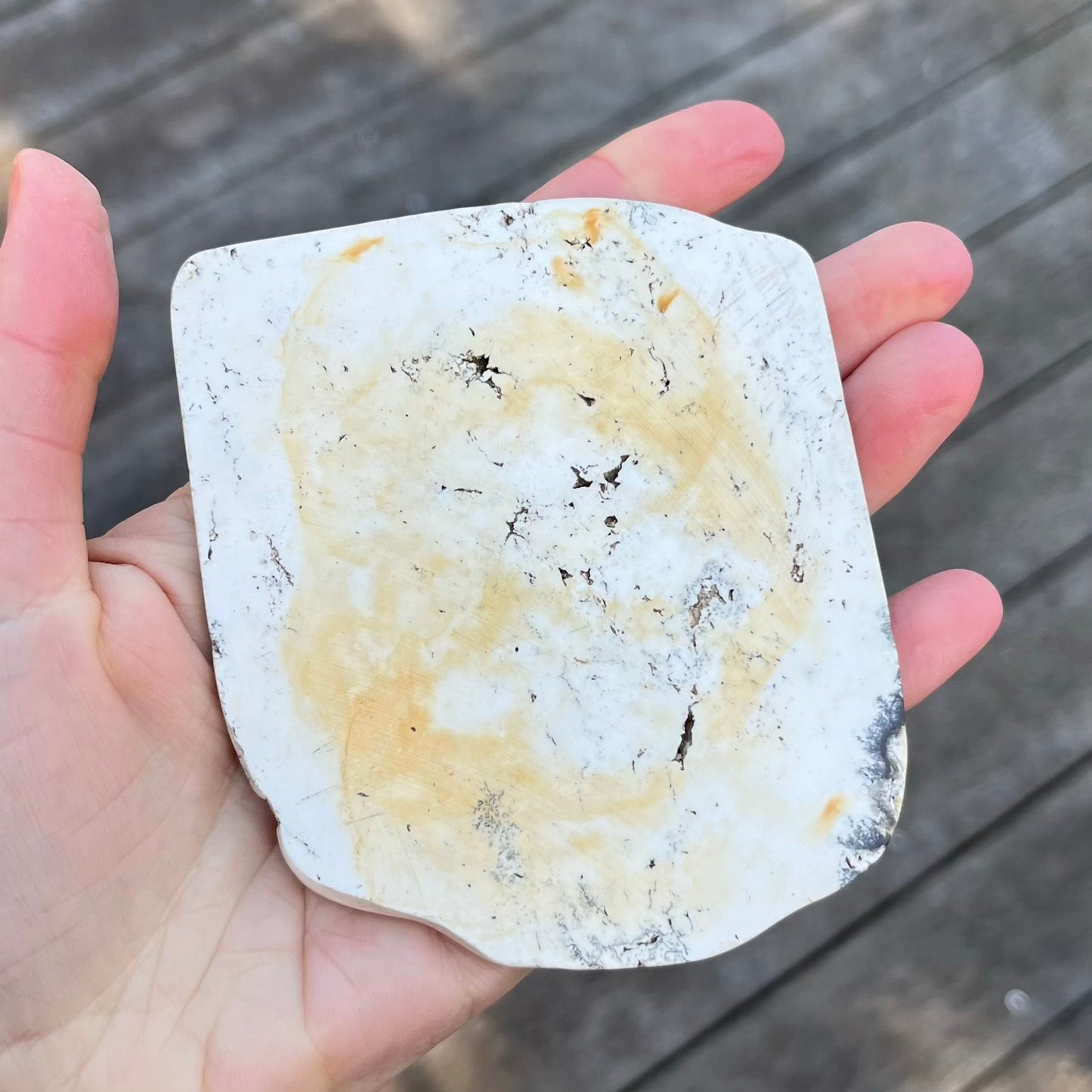 Howlite Small Slab Crystal - Calm, Emotional Balance